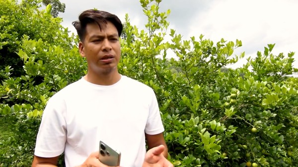 राम्रो आम्दानी हुने भएपछि कागती खेतीमा आकर्षण