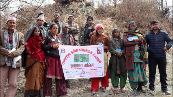 मुगुका कृषकलाई चुनावले छोएन, स्याउ बगैंचामै भ्याइनभ्याइ