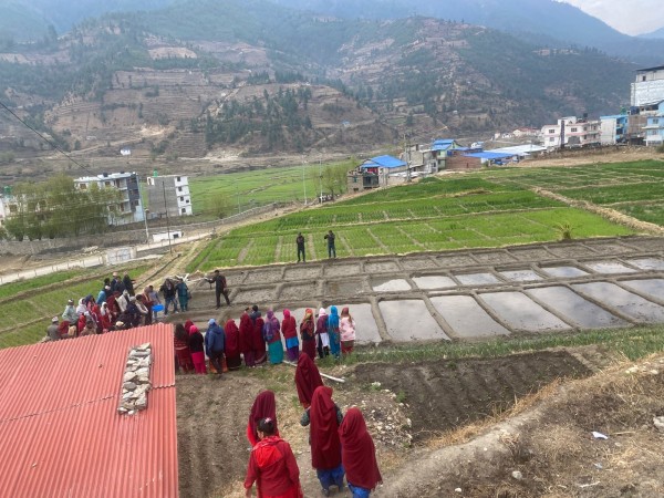 जुम्लामा धान दिवस : ‘काली मार्सी’ संरक्षण र प्रवद्र्धनमा जोड