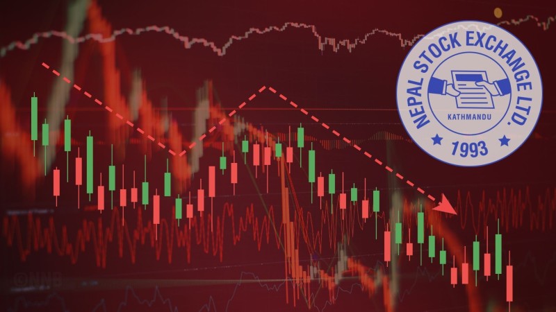 नेप्सेमा दोहोरो अंकको गिरावट, होटल र पर्यटन बाहेक सबै उपसमूह घटे