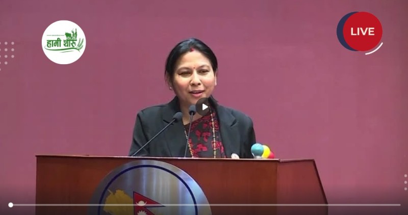 विदेश पलायनको कहालिलाग्दो दृष्य देखेर भावुक भईन राष्ट्रिय सभा सदस्य पुजा चौधरी, युवाहरुको लागि स्वदेशमै रोजगारीको व्यवस्था सुनिश्चित गर्न सरकारसँग माग