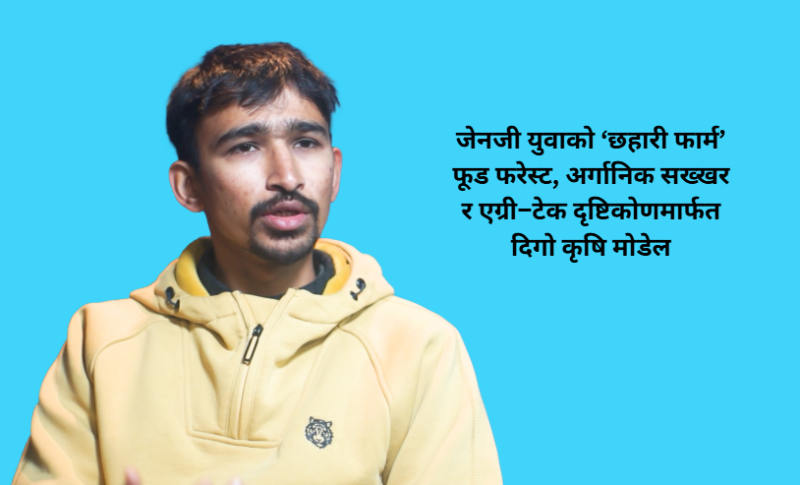सिन्धुलीमा जेनजी युवाको कृषि क्रान्तिः ‘छहारी फार्म’बाट फूड फरेस्ट र अर्गानिक सख्खर