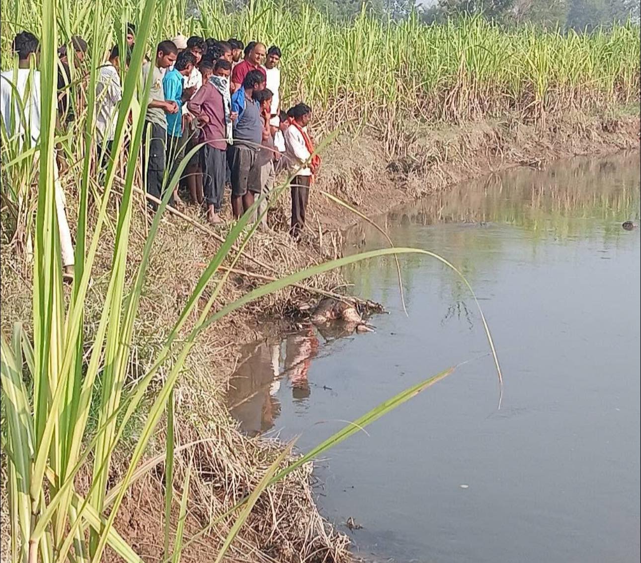 सर्लाहीमा खोलाले बगाएर बेपत्ता भएकी बालिकाको ६ दिनपछि भेटियो शव