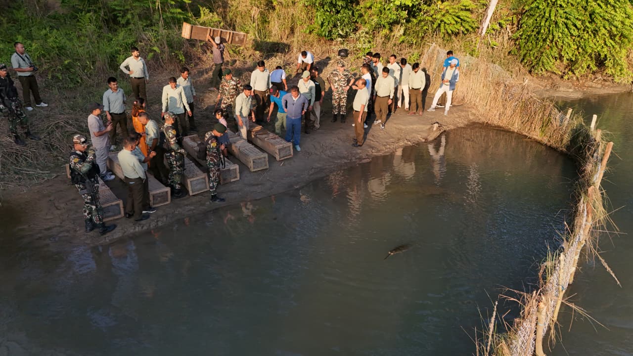 बर्दियामा तेस्रोपटक गोही प्राकृतिक बासस्थानमा छाडियो